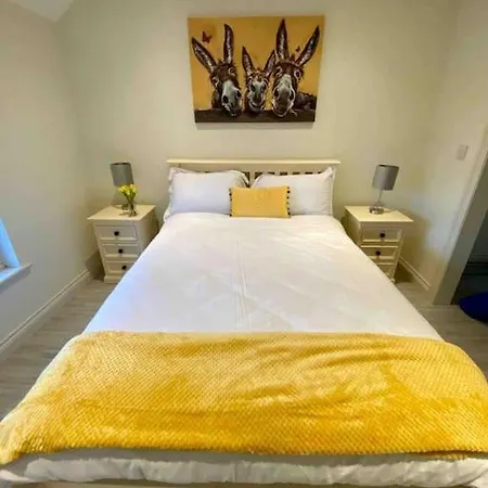 Modern Family Ferienhaus Castleisland