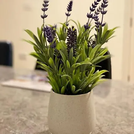 Nyaraló Modern Family Castleisland