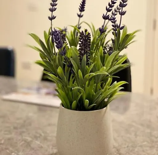 Tatil Evi Modern Family Castleisland